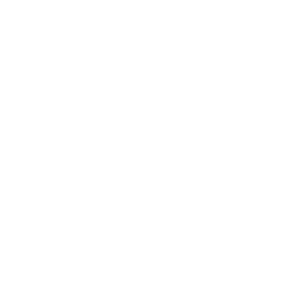 Black Snake Factory